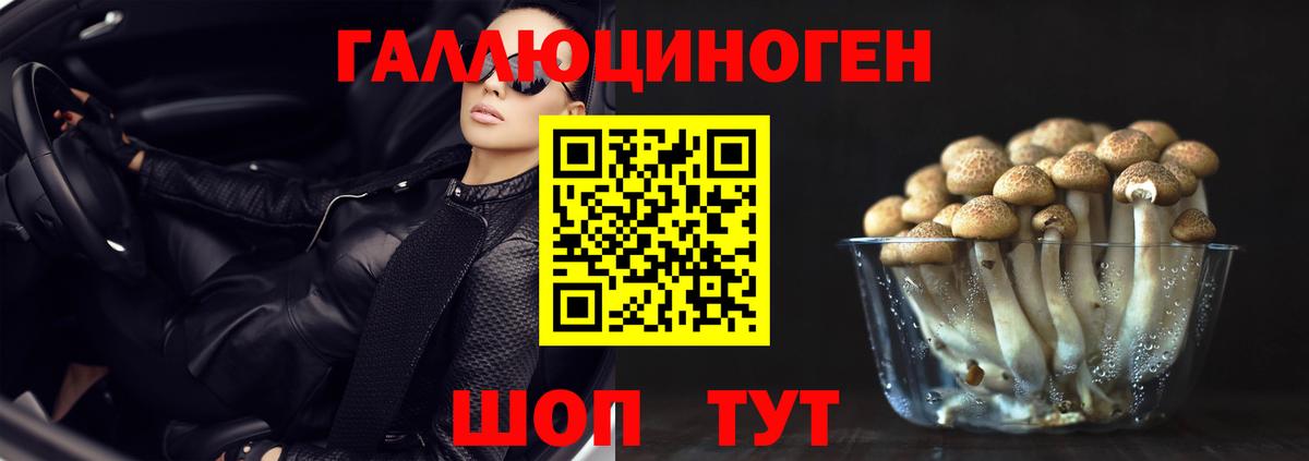 Псилоцибиновые грибы Psilocybine cubensis  Вход с VPN  Большой Камень 